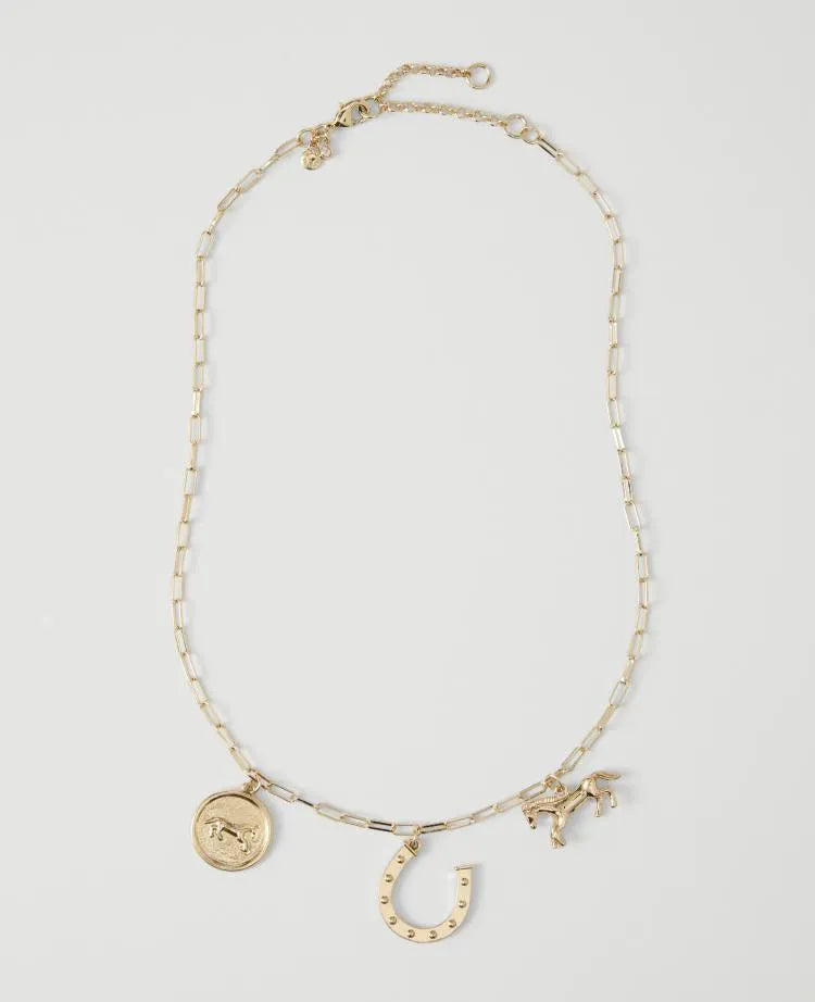 Horseshoe Charm Necklace