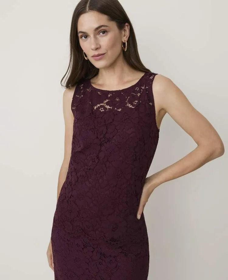 Sleeveless Lace Top