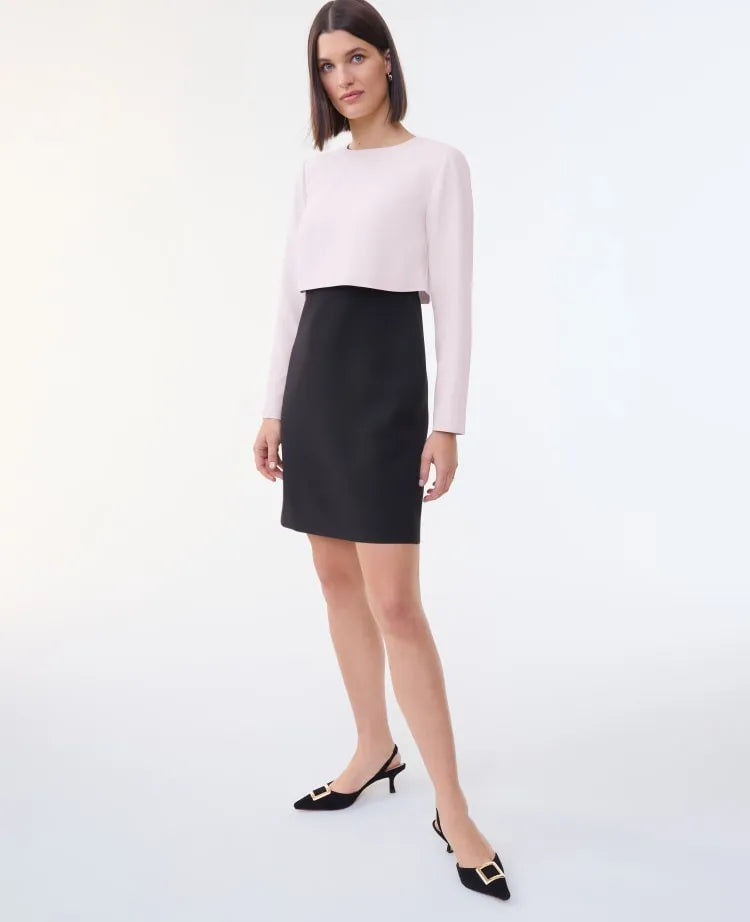Petite Colorblock Crew Neck Shift Dress