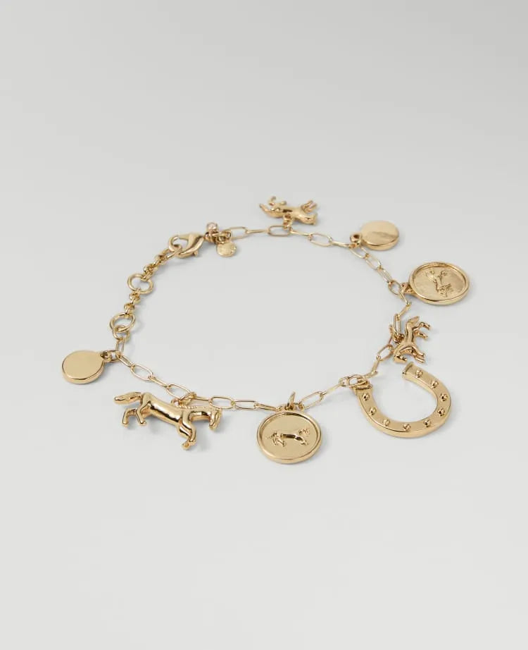 Horseshoe Charm Bracelet