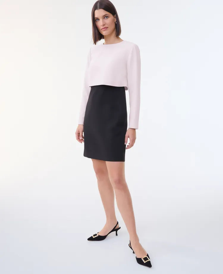 Colorblock Crew Neck Shift Dress